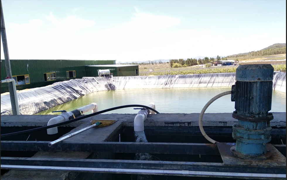 Online Soft Starter for Conveyor Belt